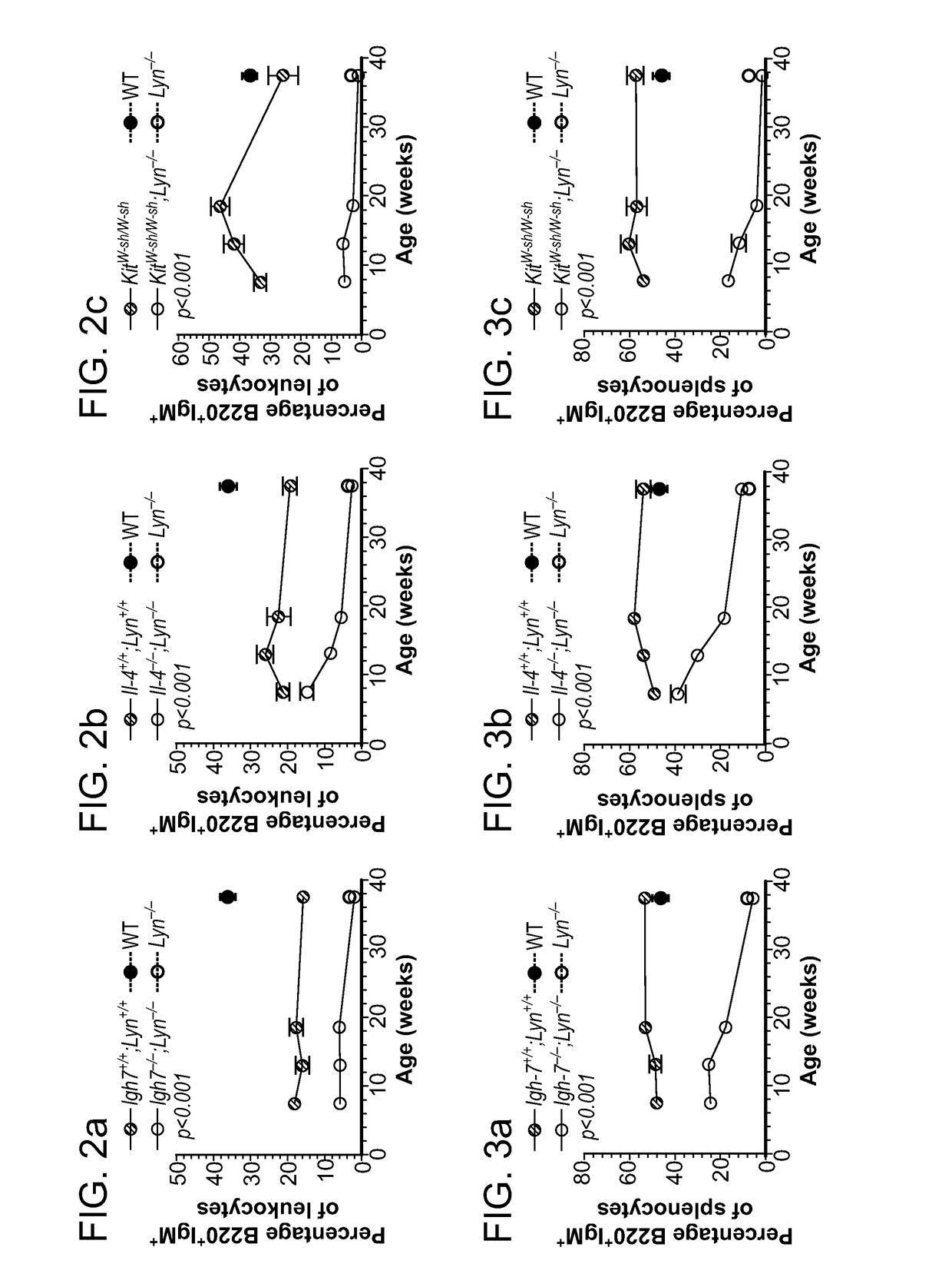 Compositions and methods for treating or preventing lupus