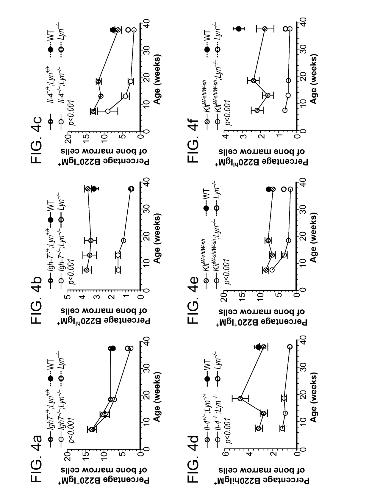 Compositions and methods for treating or preventing lupus