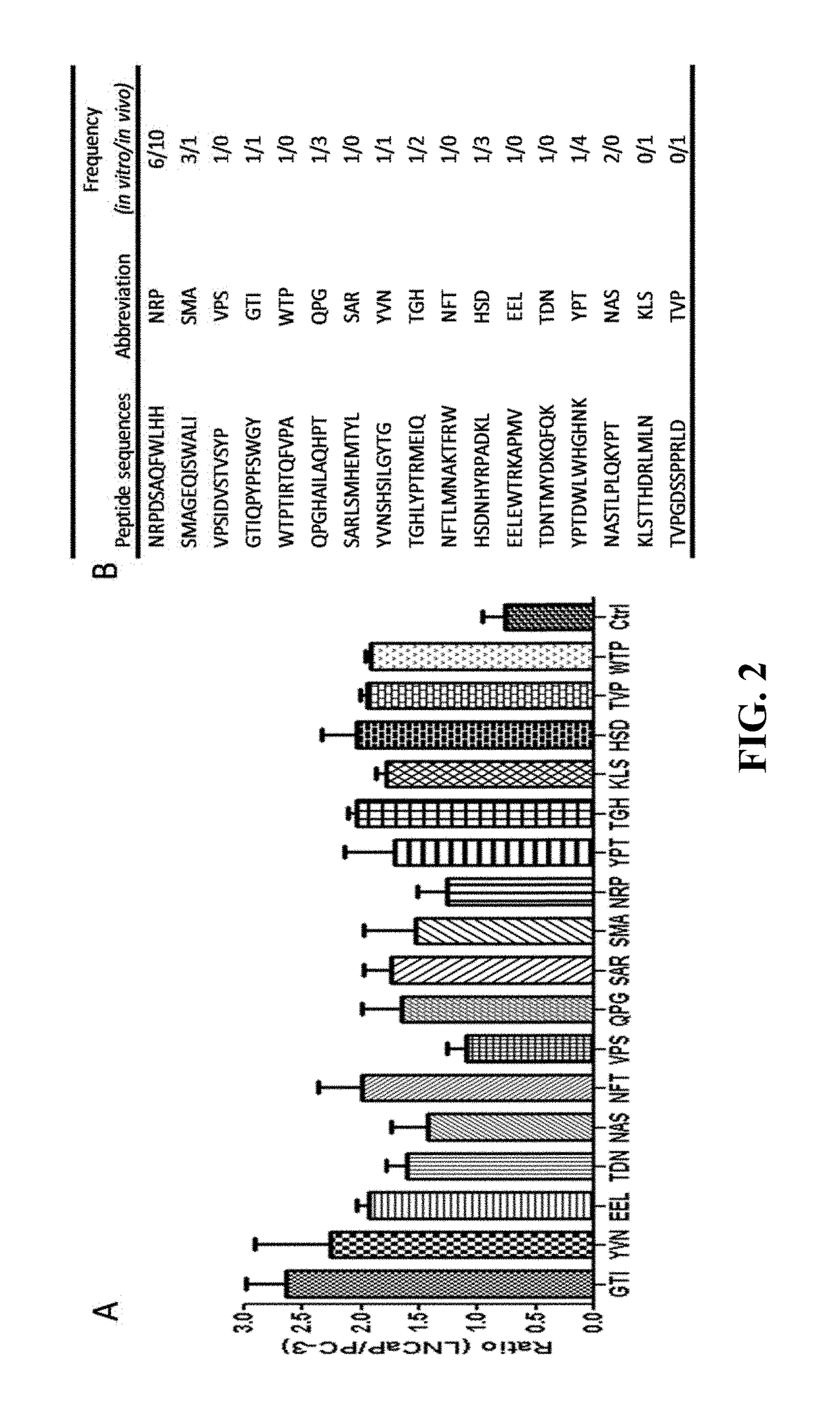 Prostate-specific membrane antigen (PSMA) targeting peptides