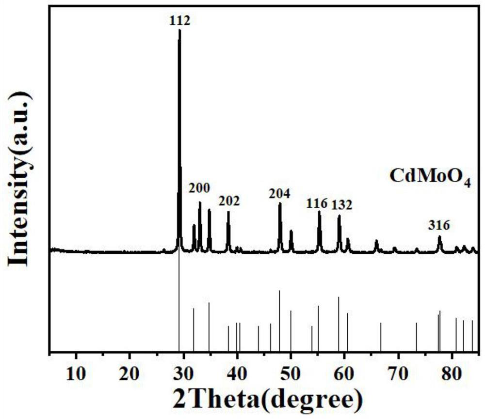 CdMoO4 microsphere catalyst with photocatalytic performance as well as preparation method and application of CdMoO4 microsphere catalyst