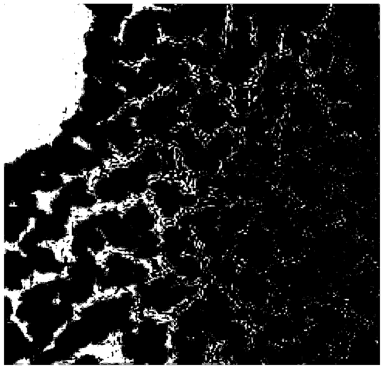 A kind of Candida glabrata and its application in kitchen waste