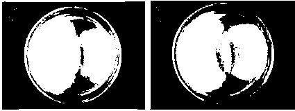 Method for enhancing soil waterflooding effect to control pepper phytophthora blight