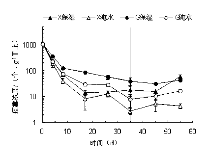 Method for enhancing soil waterflooding effect to control pepper phytophthora blight