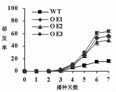 Lotus annexin and expression vector and application thereof