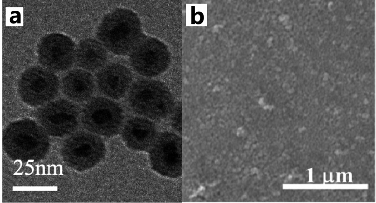 TiO2:W nano-particles, and preparation method and application thereof