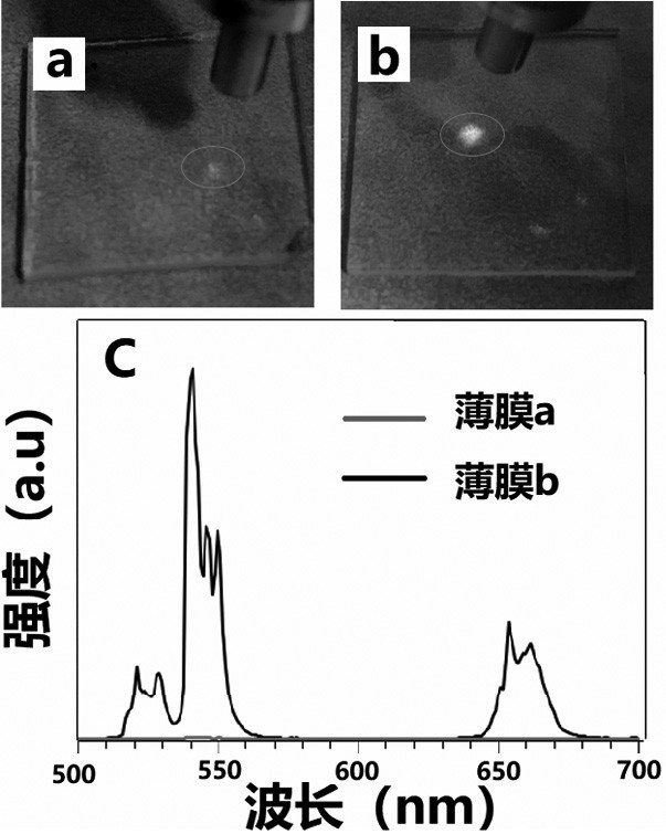 TiO2:W nano-particles, and preparation method and application thereof