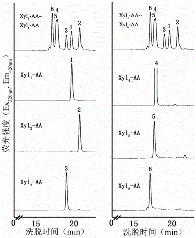Method for detecting activity of beta-1,4-xylosyltransferase in xylan synthesis by utilizing high performance liquid chromatography (HPLC)
