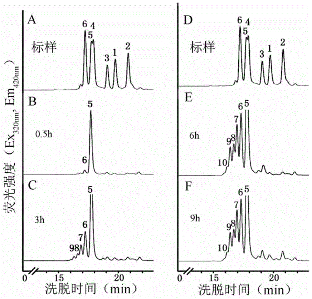 Method for detecting activity of beta-1,4-xylosyltransferase in xylan synthesis by utilizing high performance liquid chromatography (HPLC)