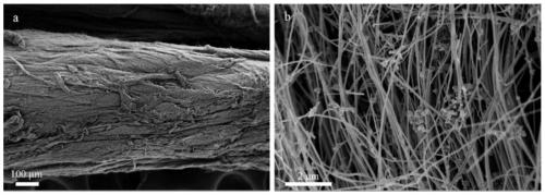 Preparation method of carbon nanotube fiber/polydimethylsiloxane composite electro-conductive elastomer