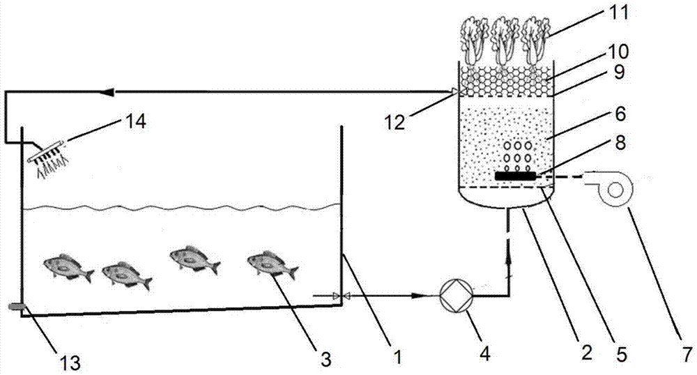 Construction and running method of plant microbial fluidized bed enhanced fish-vegetable symbiotic system