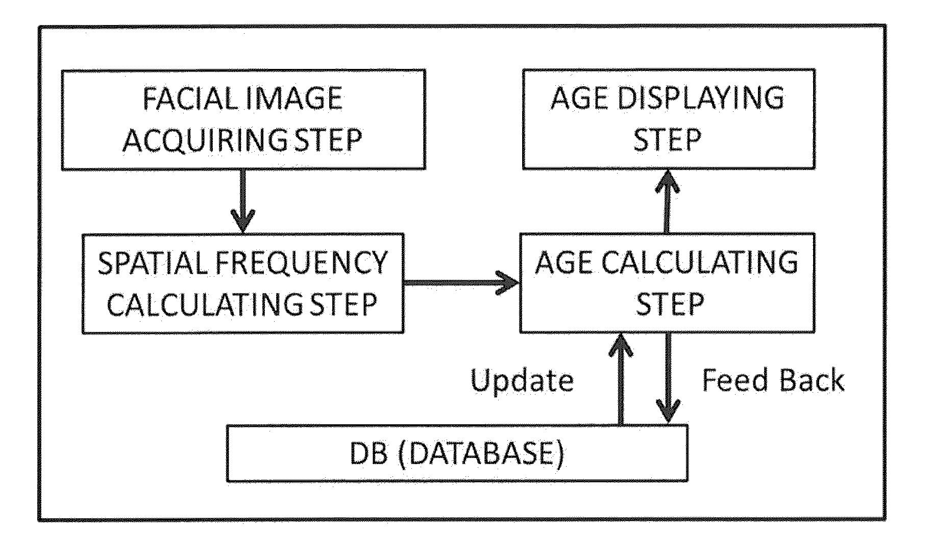 Age estimation method and sex determination method