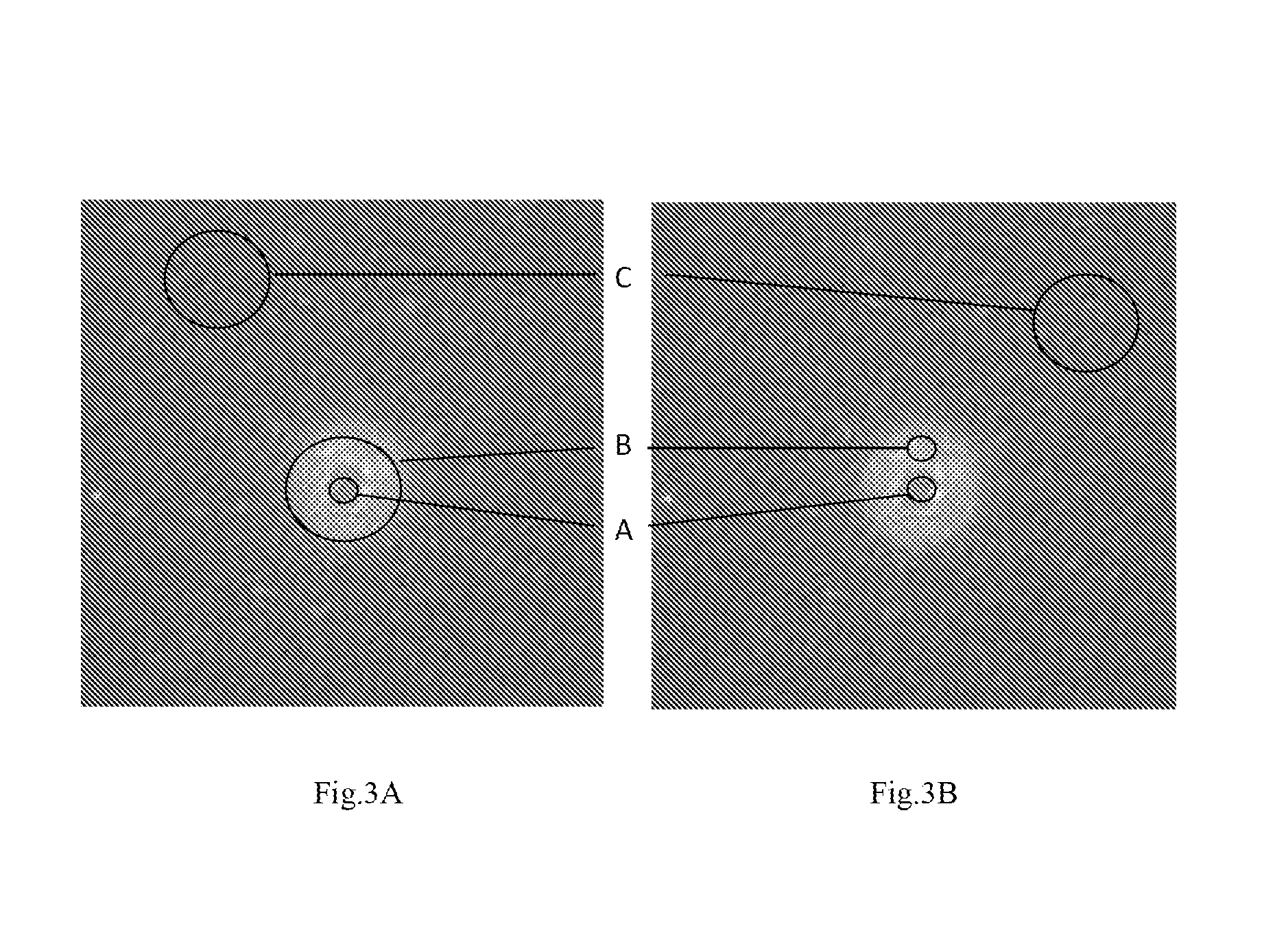 Method for analyzing molecule using thermophoresis