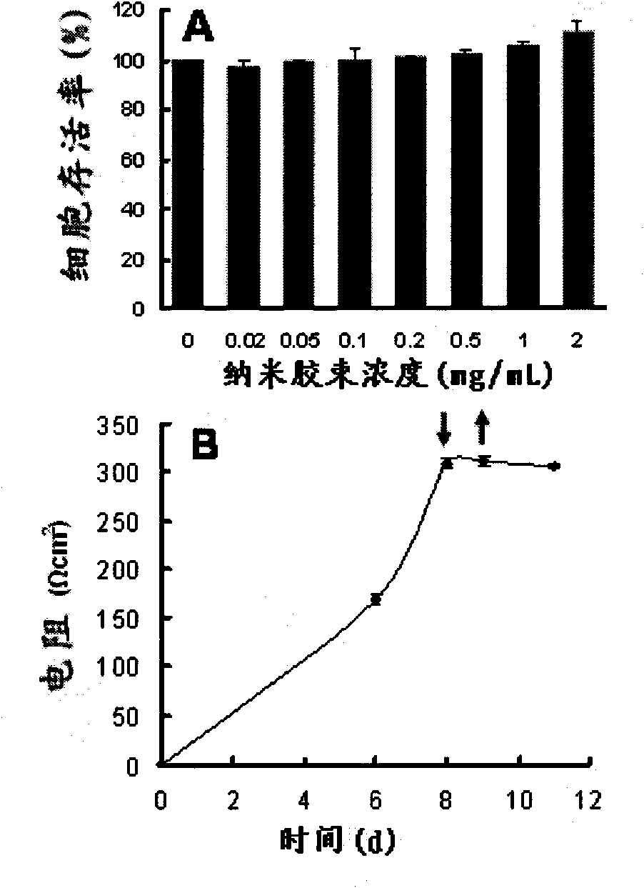 Phosphate-based drug delivery system for intracerebral drug delivery