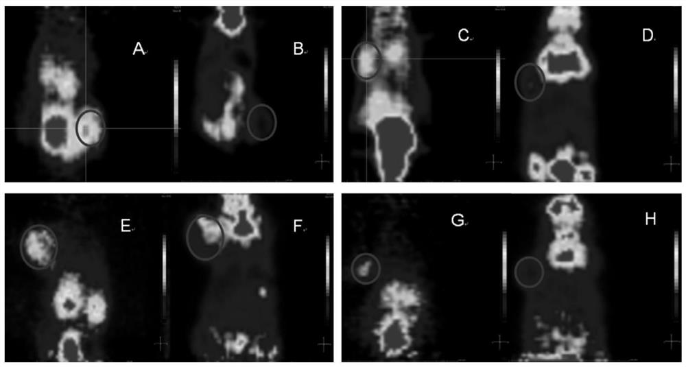 Tumor PET imaging agent &lt;68&gt;Ga-NOTA-ADG and preparation method and application thereof