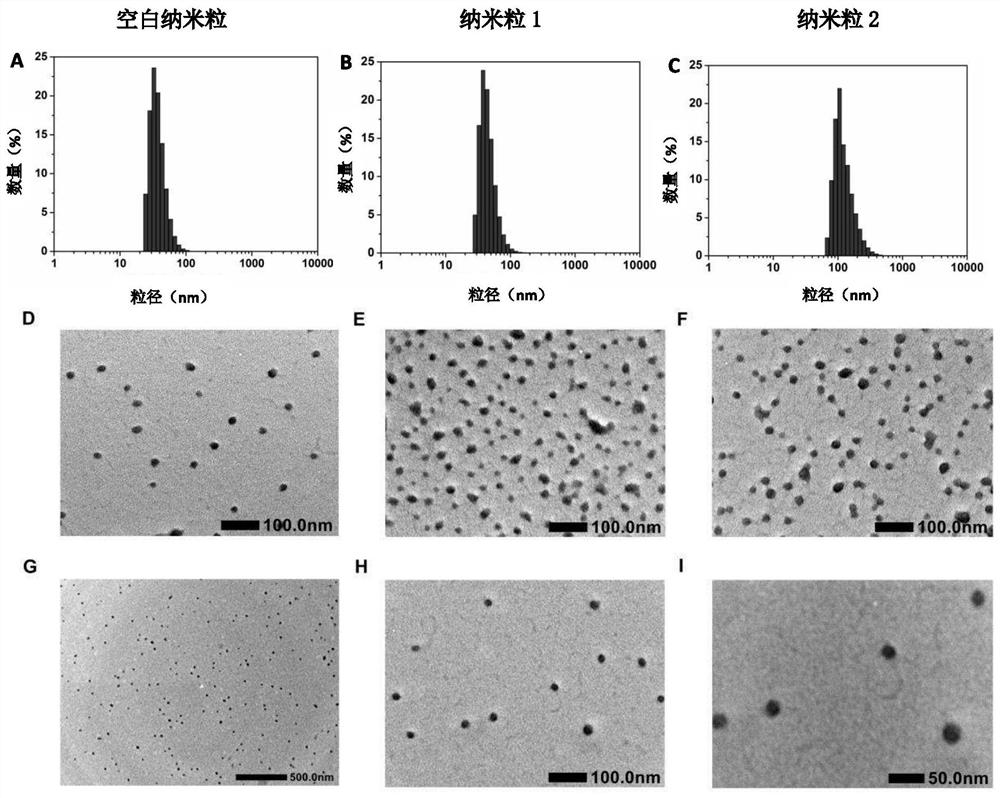 Nanoparticles loaded with therapeutic protein and preparation method thereof