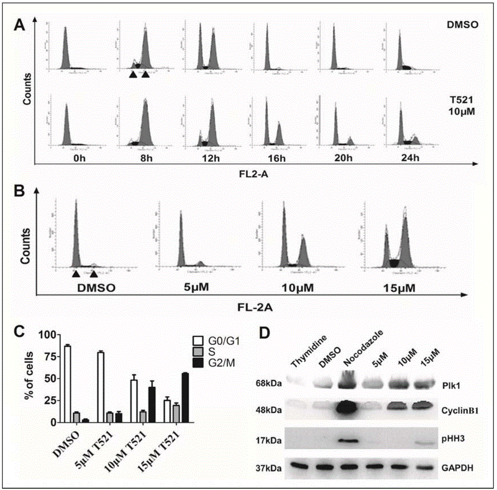 Application of compound T521 or analogues thereof in preparation of antitumor drug