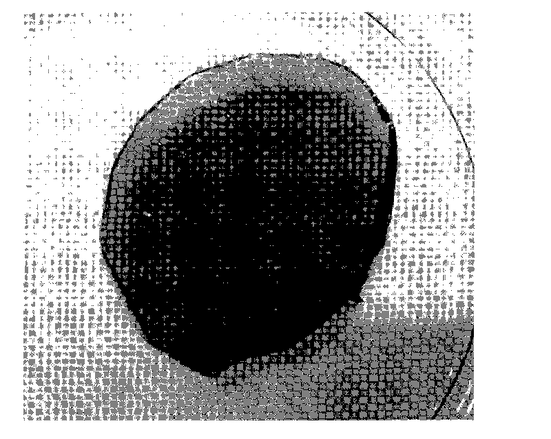 Method for preparing self-supporting conductive polymer film and composite film and application