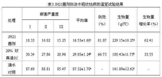 Biocontrol strain JH21 for controlling rice sheath blight and rice blast and biocontrol bacterial agent thereof