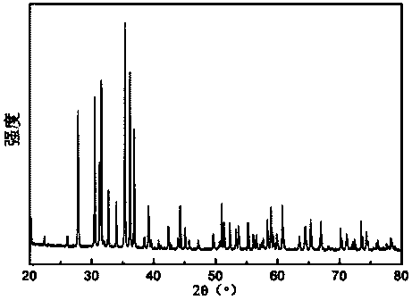 Fluorescent material and preparation method and application thereof