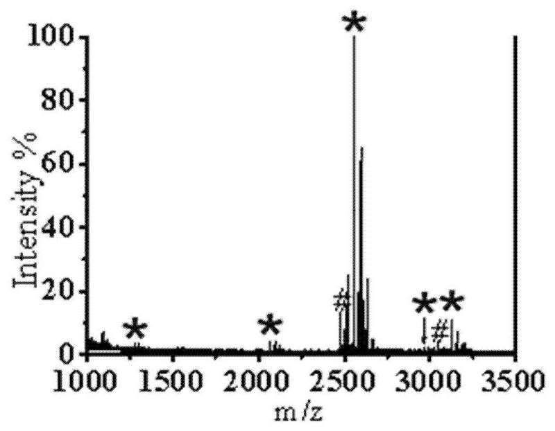 Tripod ionic liquid material for enriching phosphorylated polypeptide as well as preparation method and application thereof