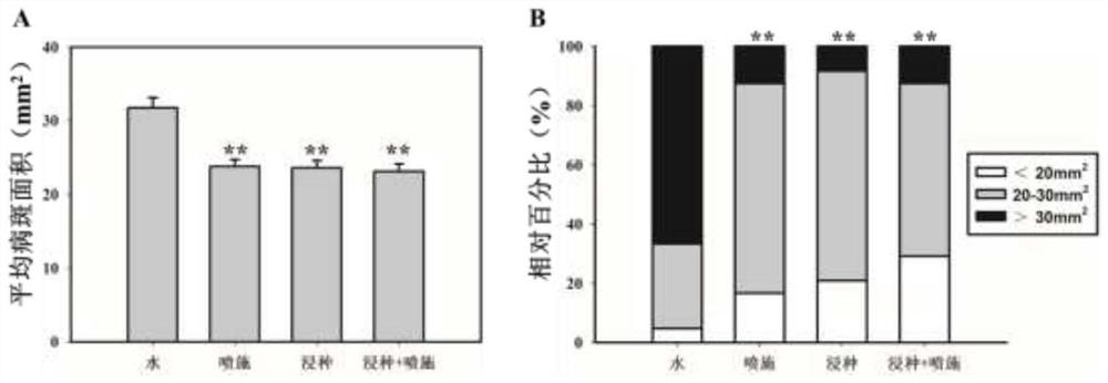 Application of Liyun type fructan