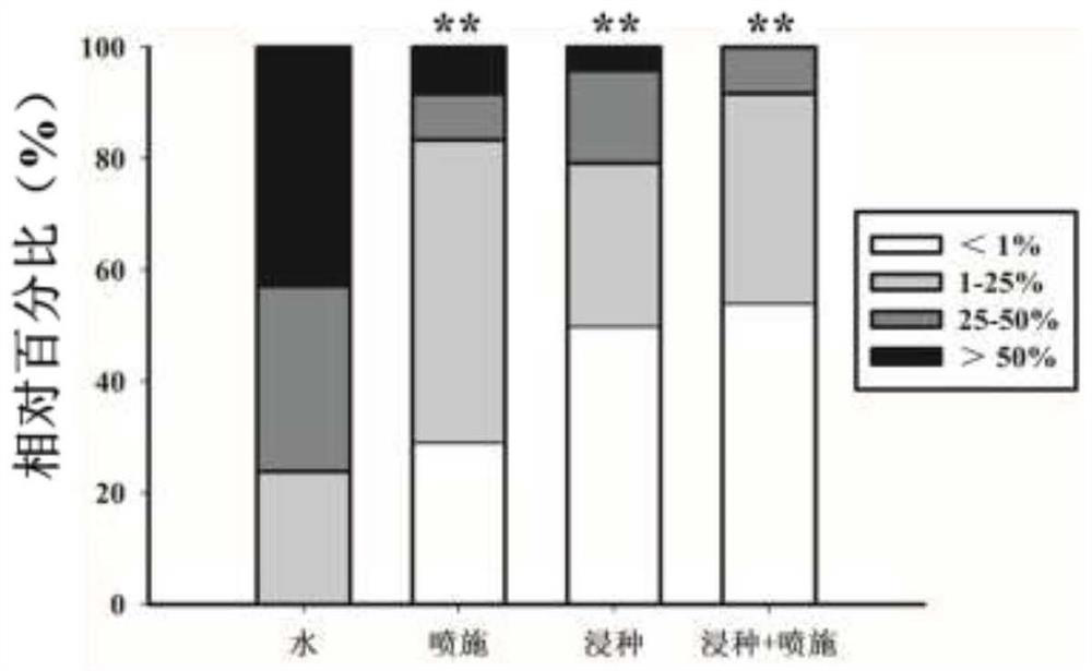 Application of Liyun type fructan