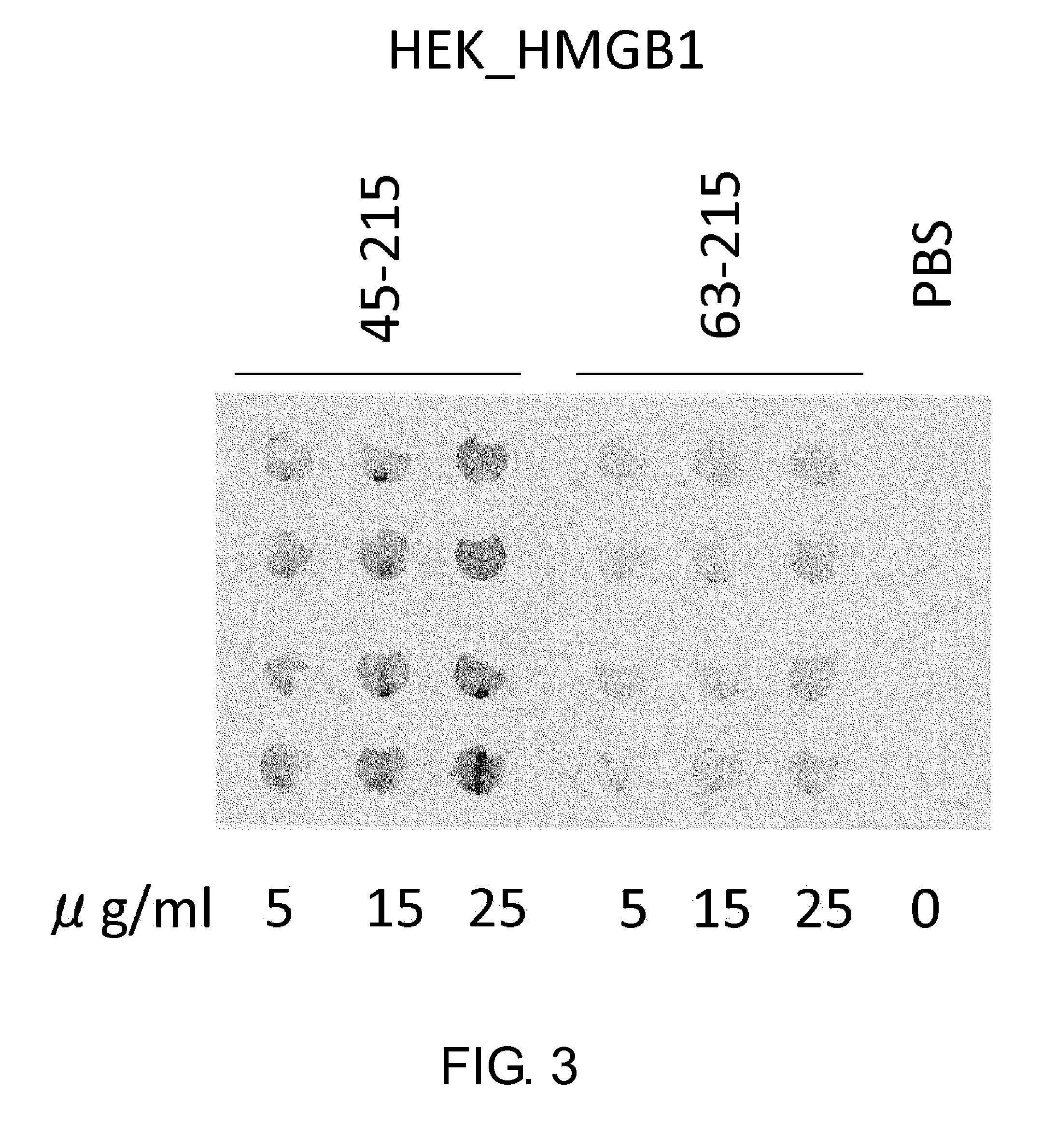 Peptide for inducing regeneration of tissue and use thereof