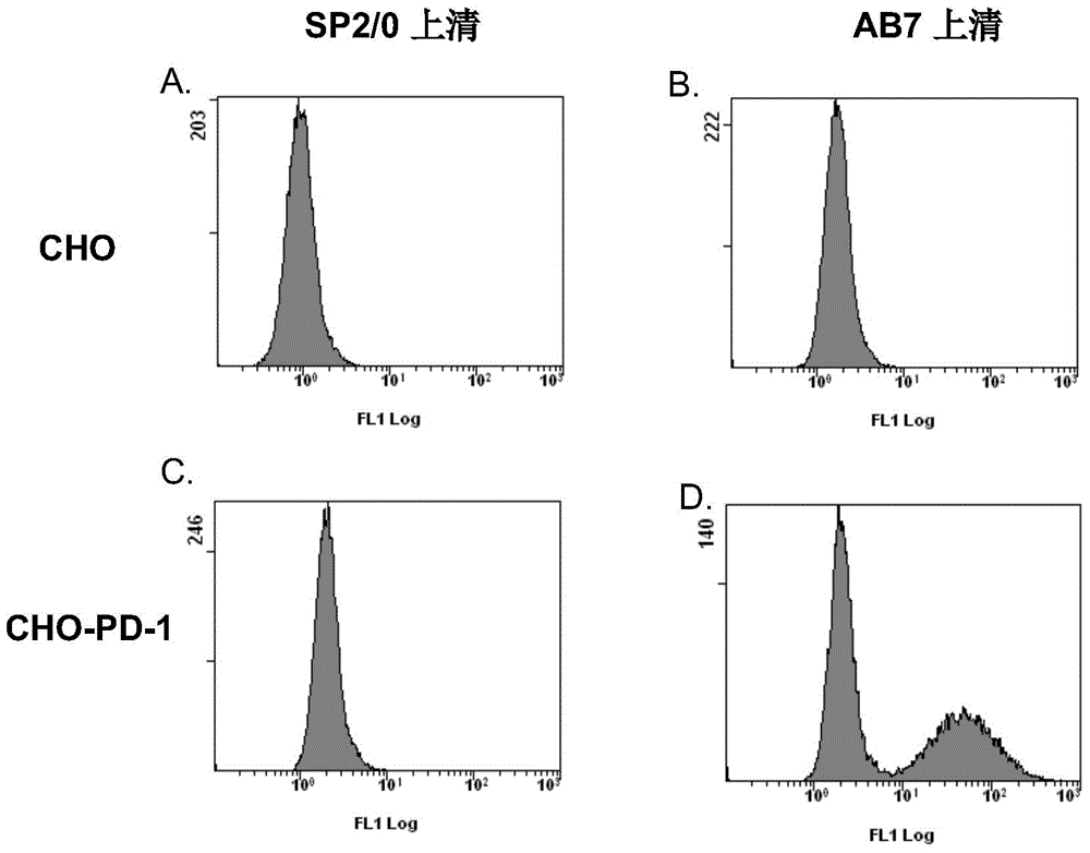 Monoclonal antibodies for antagonizing and inhibiting combination of programmed death-1 (PD-1) and ligands of PD-1, hybridoma cell line secreting monoclonal antibodies and application of monoclonal antibodies