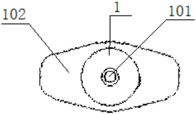 Disposable blood collection tube for blood gas analysis