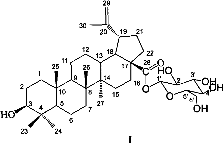 Preparation method of betulinic acid 28-O-beta-D-glucopyranoside and use of betulinic acid 28-O-beta-D-glucopyranoside