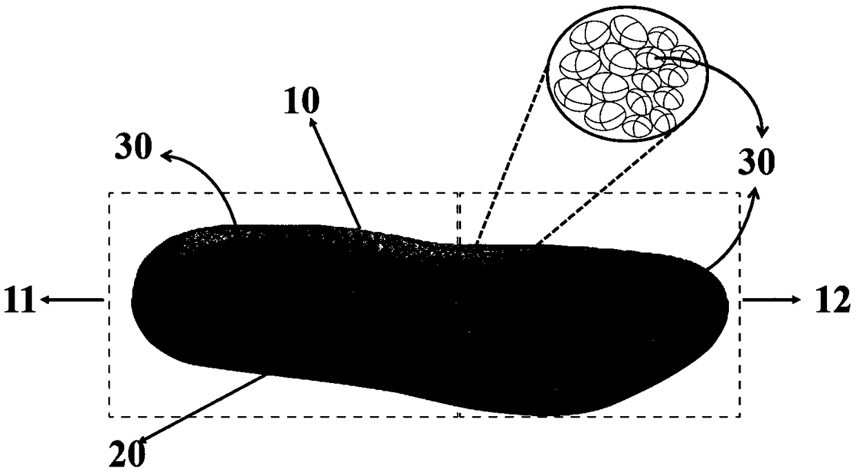 Elastic shoe sole with shock absorption effect and preparation method and application thereof