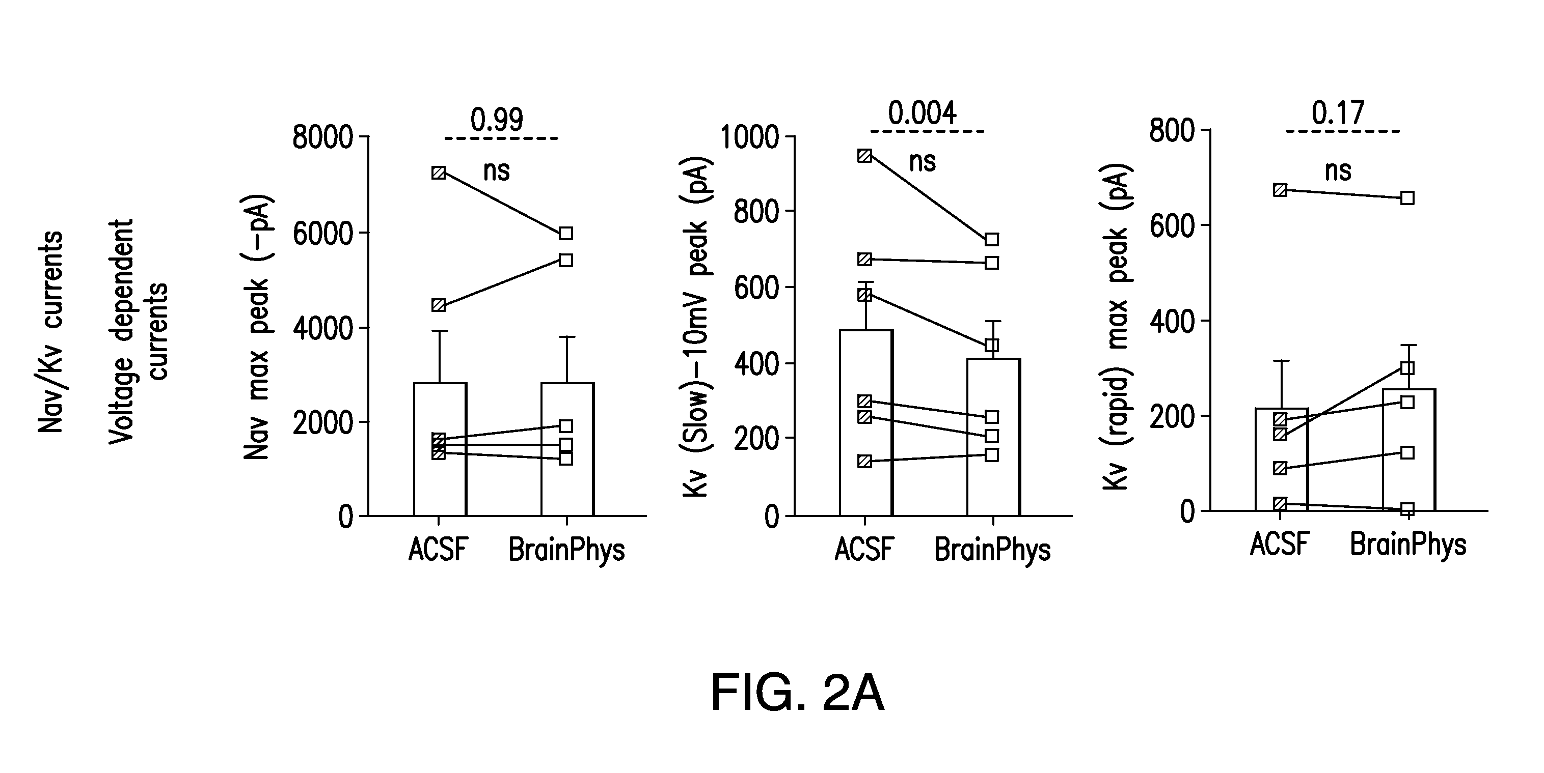 Media compositions for neuronal cell culture