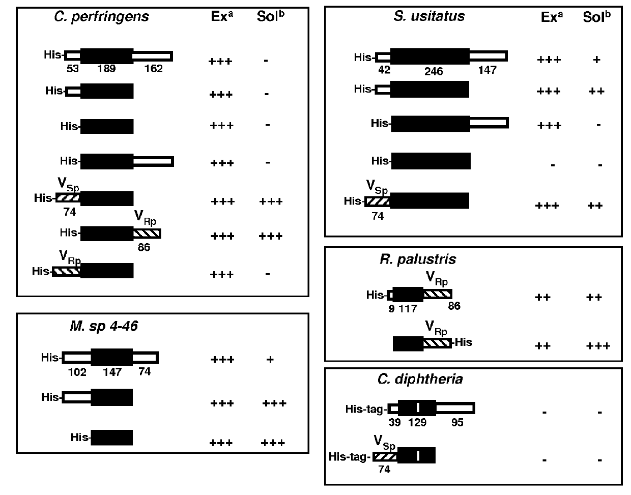 Expression of triple-helical collagen-like products in <i>E. coli</i>