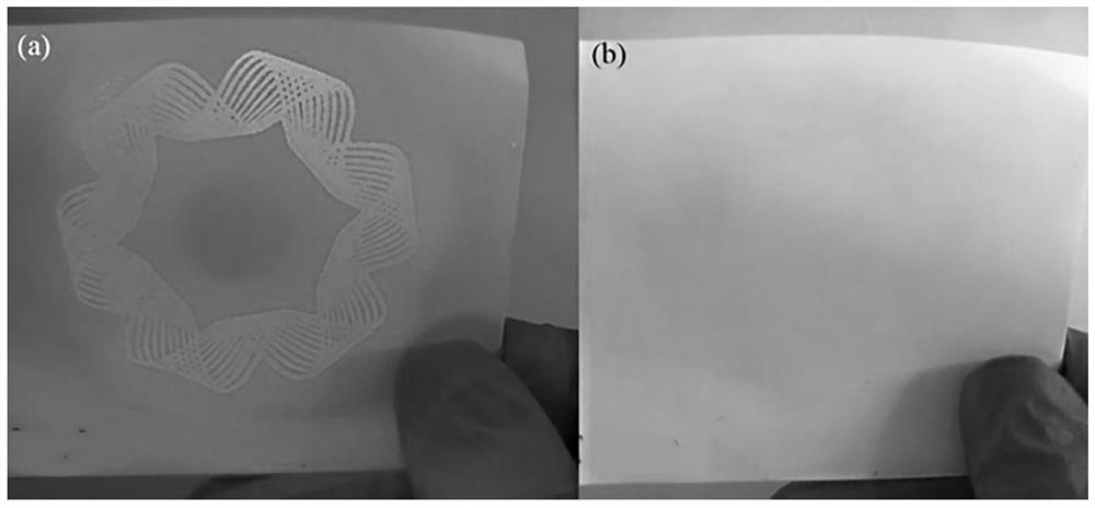 Anti-counterfeiting pigment as well as preparation method and application thereof