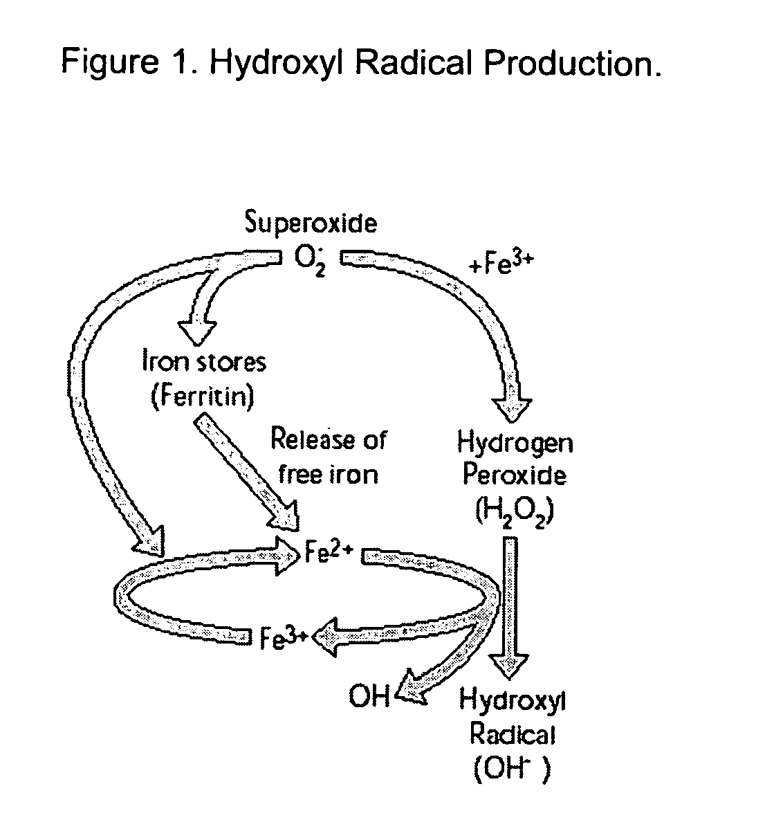 Method of treatment and composition for inhibiting the production of toxic free radical and reactive oxygen species using metalloproteins found in bacteria