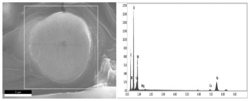 A b/mg co-doped high-nickel ternary precursor material, positive electrode material, and preparation method