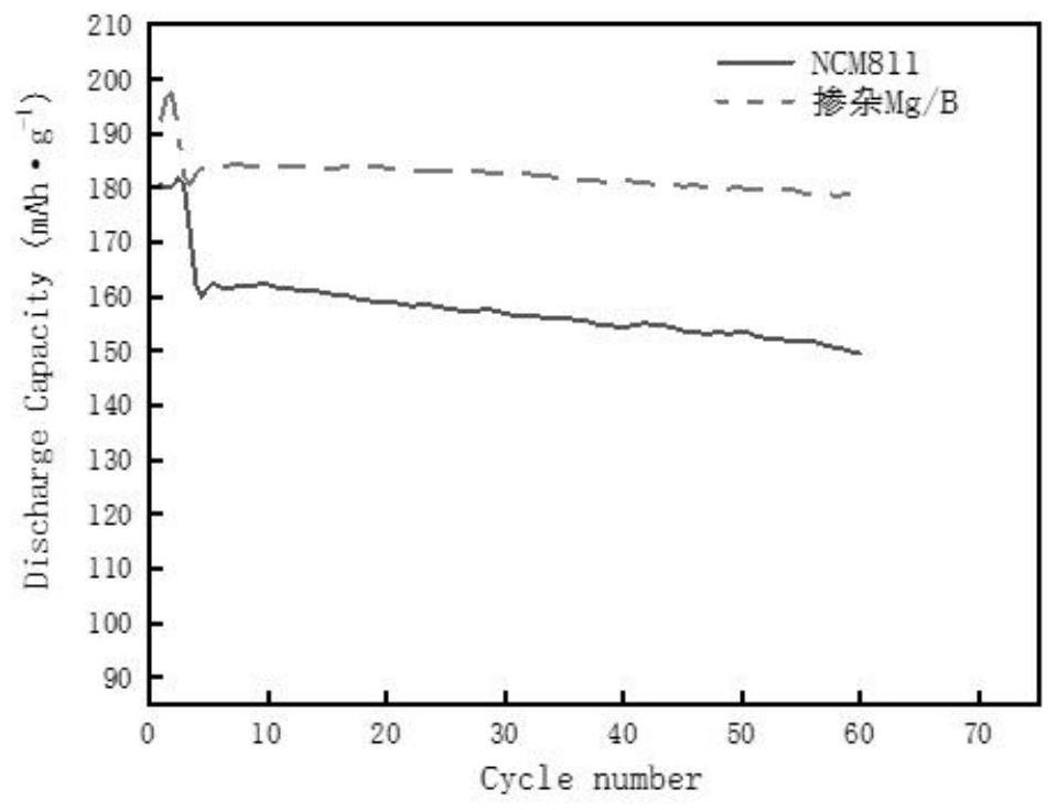 A b/mg co-doped high-nickel ternary precursor material, positive electrode material, and preparation method