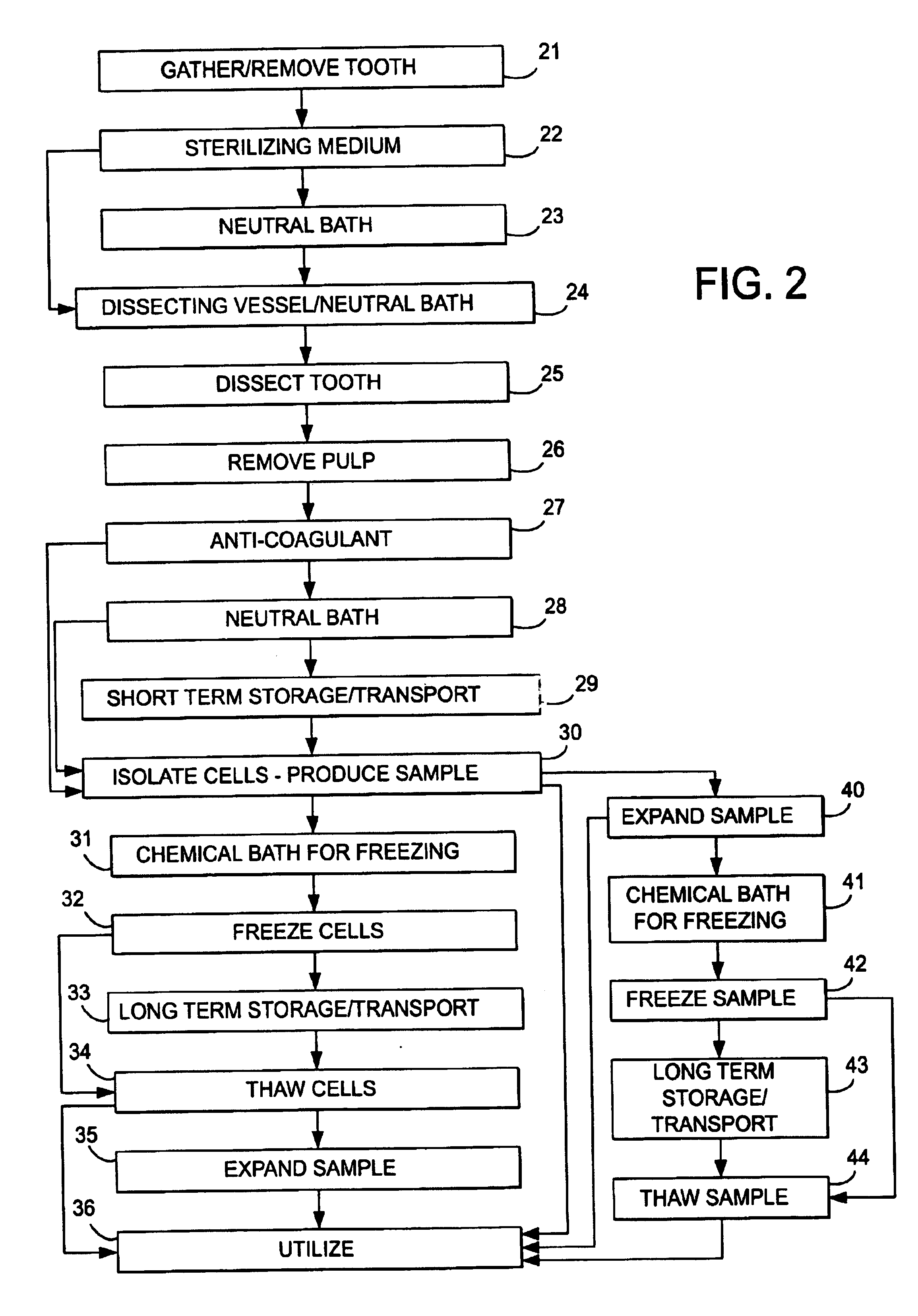 Stem cell and dental pulp harvesting method and apparatus