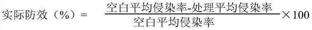 Sterilization composition containing kasugamycin and thiediazole copper and application of sterilization composition