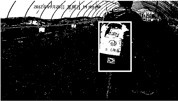 Pesticide spraying detection method based on machine learning