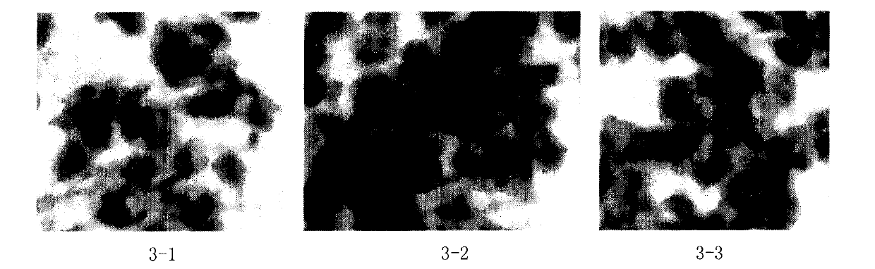 Fusion protein capable of inducing and activating cancer-targeted T cells, preparation method and use thereof