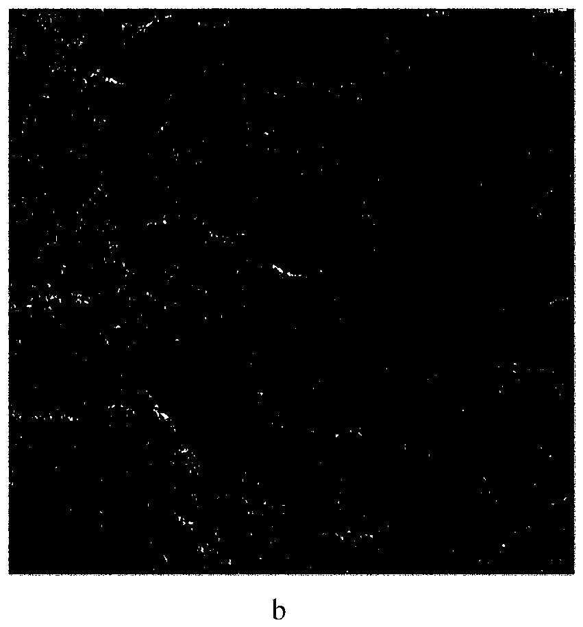 Multi-channel joint matching method for polarized SAR images based on hypercomplex numbers