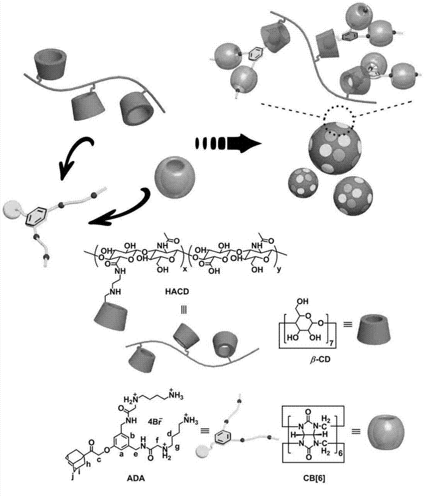 Supermolecular assembly for small interfering RNA targeting delivery and preparation method