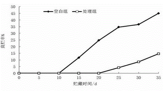 Electrolyzed functional water for preserving freshness of oranges and method for preserving freshness of oranges by using same