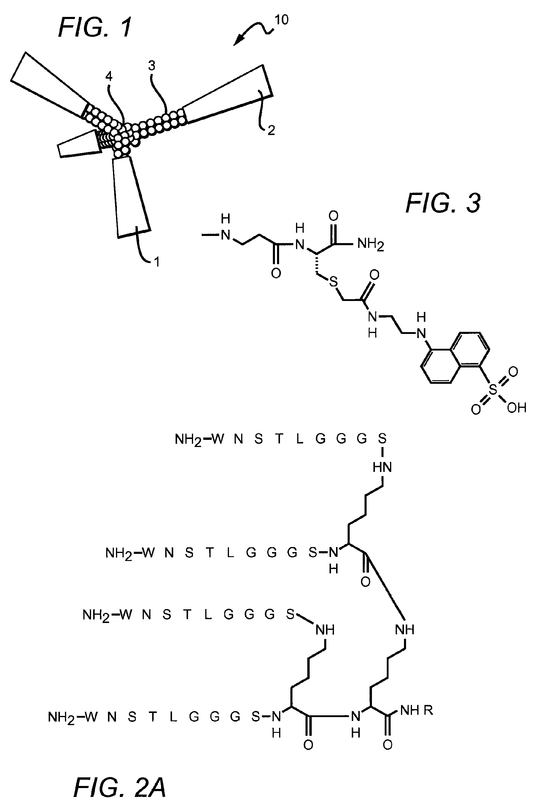 Pro-angiogenic peptides and uses thereof