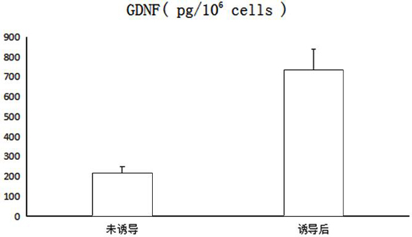 A kind of sd rat-derived bone marrow mesenchymal stem cell induction medium and induction method