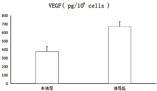 A kind of sd rat-derived bone marrow mesenchymal stem cell induction medium and induction method