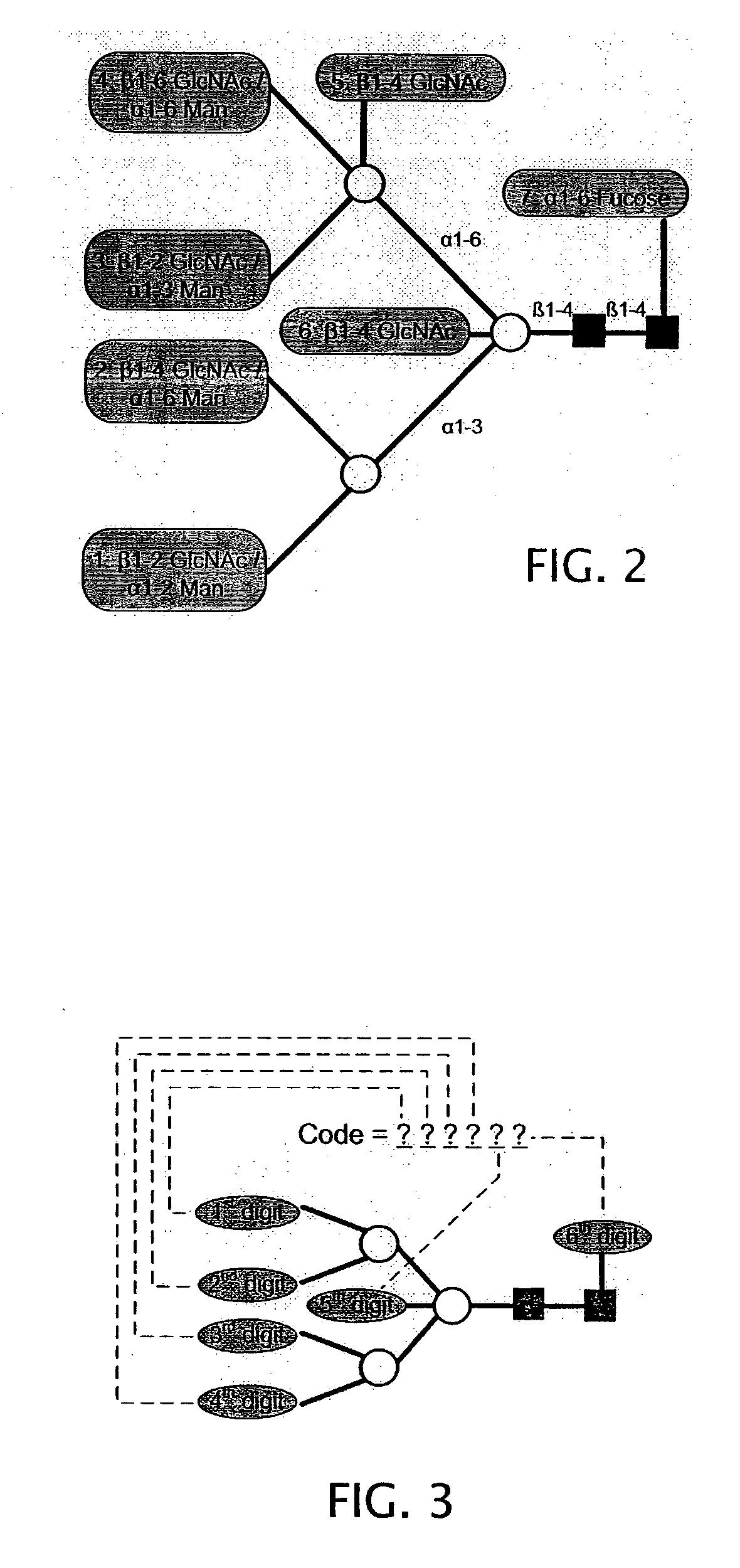 System and method for representing n-linked glycan structures