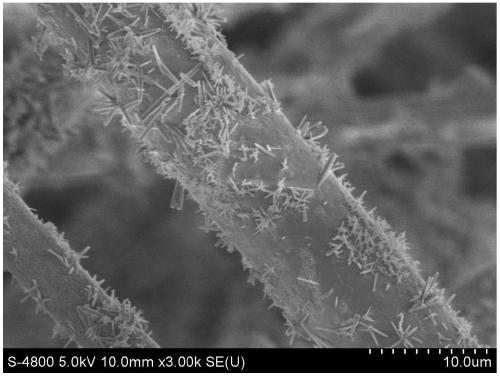 Mullite whisker/fiber synergistically reinforced silicon dioxide aerogel multi-scale composite structure, preparation method and application thereof