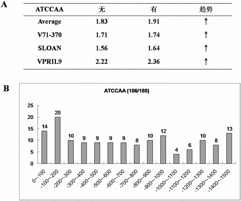 Phytophthora induced artificially synthesized promoter PMP2 as well as recombinant expression vector and application thereof